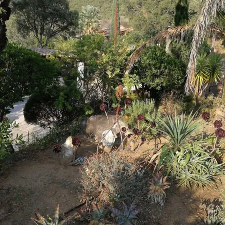 Bed and breakfast - Chambres D'hotes Castelmau